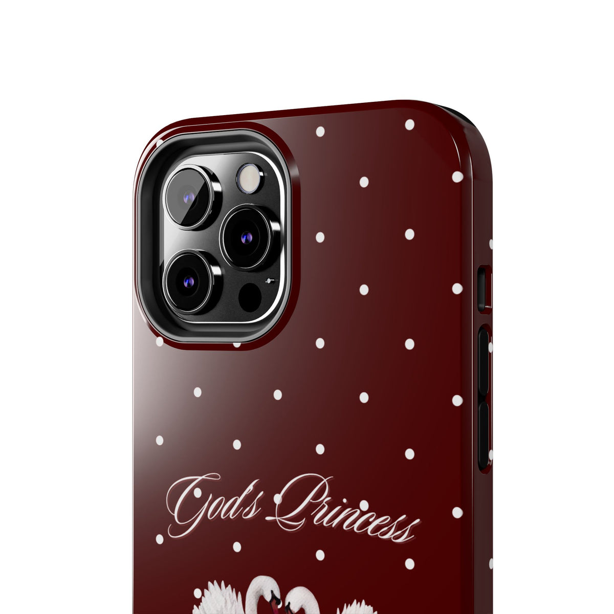 Proverbs 31 Princess Case