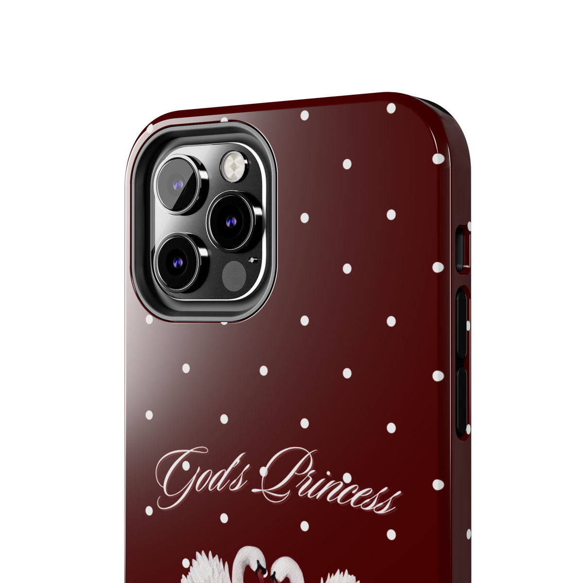 Proverbs 31 Princess Case